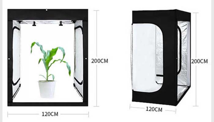 PhenoGA植物表型分析測量儀系統,又稱植物表型平臺, 植物表型分析系統,植物表型成像分析系統。
基因型、表型和環境是遺傳學研究的鐵三角。表型（性狀）是基因型和環境共同作用結果，而基因型與表型之間有著多重關系。研究者用測序和基因組重測序來評估等位基因差異定位數量性狀等已變得很普遍，但其需大量性狀數據來佐證。然而這類分析測量的結果受人員、工具和環境等的干擾很大，還會損傷到植物。故迫切需要高效、準確的萬深PhenoGA植物表型分析測量儀來做可視化的精確數據分析和表型測試，如測試對壓力和環境因素的表型反應、生態毒理學測試或萌發測定、生長研究等。